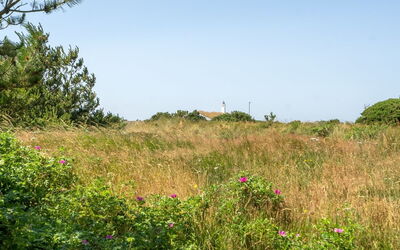 Sine - 500M from the Sea