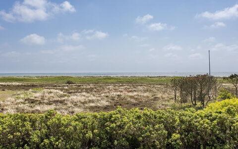 Stillan - 150M from the Sea: Huis, Huis, Dak, Woongebied, Verblijf, Landgoed, Boerderij, Gazon, Landscaping, Siding