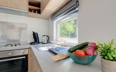 Accommodatie:&nbsp;Tiny Haus Selma 200.15
