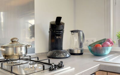 Accommodatie:&nbsp;Tiny Haus Selma 200.15