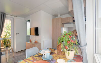 Accommodatie:&nbsp;Tiny Haus Hirschberg 200.17