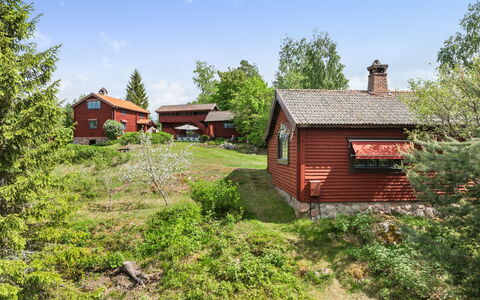 Alice: Lucht, Fabriek, Eigendom, Plantengemeenschap, Gebouw, Boom, Huis, Natuurlijk Landschap, Hout, Wolk