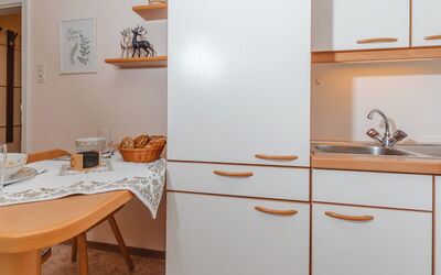 Accommodatie:&nbsp;Haus Kötschach 250.3