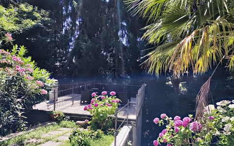 Casa sul Torrente: Vegetation, Struik, Tuin, De Lente, Landscaping, Backyard, Schaduw, Werf, Botanische Tuin