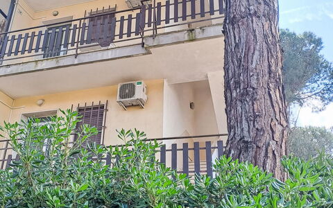 Rosolina Mare 629: Woody Plant, Balkon, Schaduw