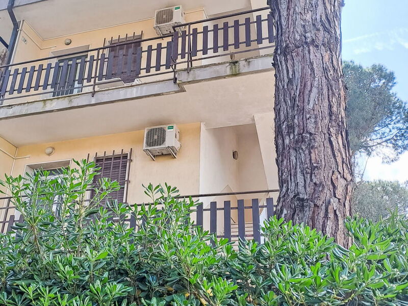 Rosolina Mare 629