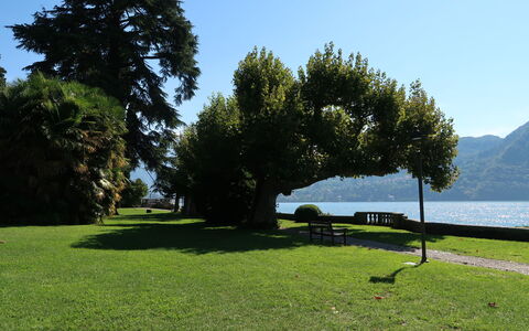 Regina 29: Gras, Natuurlijk Landschap, Landschap, Gazon, Openluchtbank, Trunk, Tuin, Meer, Park