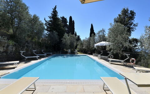 Villa Sette Ponti Levante: Water, Lucht, Zwembad, Azure, Boom, Schaduw, Vrije Tijd, Samengesteld Materiaal, Onroerend Goed, Rechthoek