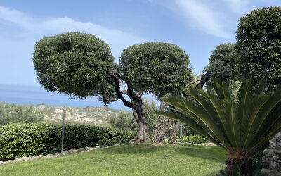 Villa Acquaro, Santa Caterina Dello Ionio, Pool, A