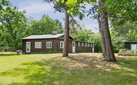 Heidl - 1.3Km to the Fjord: Gras, Boom, Gebouw, Afdeling, Struik, Huis, Huis, Landschap, Plain
