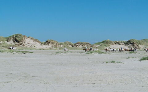 Hariet - 300M from the Sea: Thatching, Verblijf, Huis, Dak, Huis, Boerderij, Hut, Landgoed, Dorp