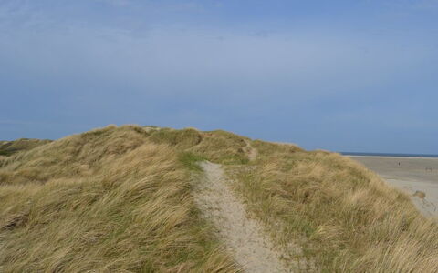Hariet - 300M from the Sea: Thatching, Verblijf, Huis, Dak, Huis, Boerderij, Hut, Landgoed, Dorp