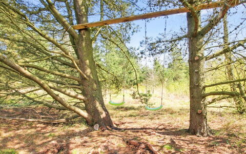 Efimija - 1.4Km from the Sea: Afdeling, Hout, Takje, Trunk, Natuurgebied, Woud, Woody Plant, Bos, Bodem