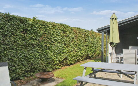 Milrid - 100M from the Sea: Struik, Haag, Groundcover, Schaduw, Tuin, Landscaping, Plantage, Evergreen