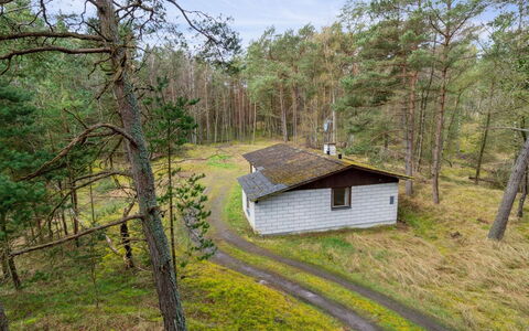 Awa - 800M from the Sea: Boom, Hout, Woud, Land Lot, Verblijf, Landelijk Gebied, Bos, Schuur