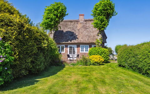 Gerwendil - 17Km from the Sea: Gras, Grasland, Landschap, Ecoregio, Plain, Plantengemeenschap, Land Lot, Buitenmeubels, Prairie, Shrubland
