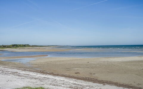 Eleanore - 25M from the Sea: Hout, Huis, Veranda, Dek, Hardwood, Dak, Beits, Houten Vloer, Eco Hotel