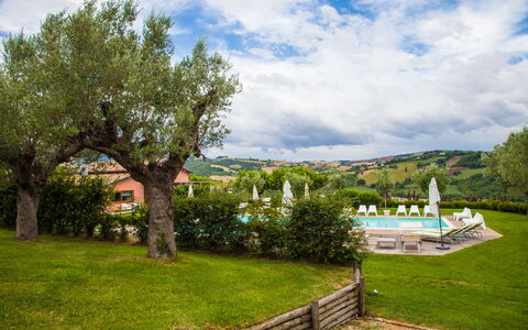 Villa Angelica: Wolk, Lucht, Fabriek, Natuur, Natuurlijk Landschap, Boom, Vegetation, Land Lot, Gras, Landschap