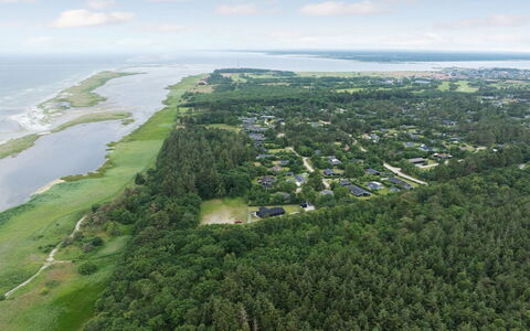 Ingwin - from the Sea: Woongebied, Struik, Huis, Huis, Tuin, Landgoed, Schaduw, Landscaping, Gazon
