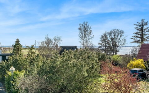 Eikka - 100M from the Sea: Lucht, Blauw, Struik, Tuin, Landscaping, Evergreen, Cumulus, Pine Family