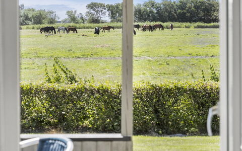 Janin - 400M from the Sea: Blauw, Struik, Verblijf, Groundcover, Tuin, Landgoed, Schaduw, Landscaping, Boerderij, Eco Hotel