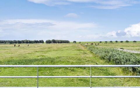 Janin - 400M from the Sea: Blauw, Struik, Verblijf, Groundcover, Tuin, Landgoed, Schaduw, Landscaping, Boerderij, Eco Hotel