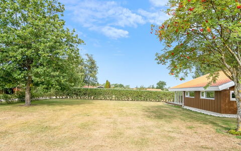 Maira - from the Sea: Gras, Boom, Plain, Landschap, Struik, Land Lot, Huis, Landelijk Gebied, Tuin