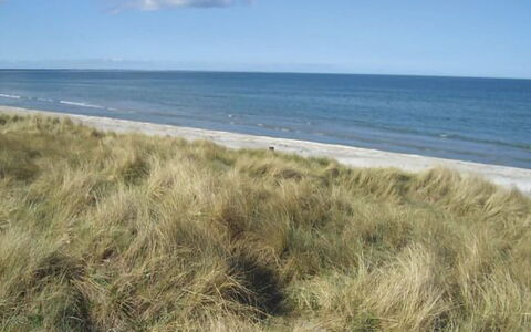 Frithbjorn - 900M from the Sea: Hout, Huis, Veranda, Dek, Hardwood, Dak, Beits, Houten Vloer, Eco Hotel