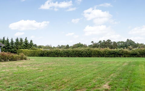 Lari - 600M from the Sea: Boom, Natuurlijke Omgeving, Groen, Grasland, Struik, Plain, Land Lot, Veld, Groundcover