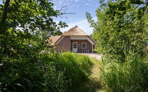 Ejvi - 4Km from the Sea: Gras, Dak, Huis, Verblijf, Struik, Huis, Land Lot, Landelijk Gebied, Boerderij