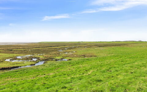 Stefani - 2Km from the Sea: Huis, Dak, Huis, Verblijf, Schuur, Garden Gebouwen, Siding, Werf, Blokhut, Hut