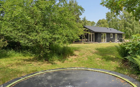 Vojdan - 600M from the Sea: Boom, Gras, Struik, Land Lot, Landelijk Gebied, Huis, Tuin, Verblijf, Gazon