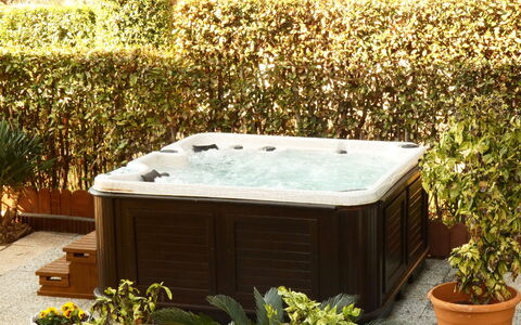 Villa Paradiso: Fabriek, Eigendom, Plantengemeenschap, Bloempot, Geel, Vegetation, Rechthoek, Gras, Landschap, Struik