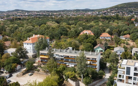 Lily: Dag, Boom, Woongebied, Buurt, Huis, Menselijke Nederzetting, Appartement, Voorstad