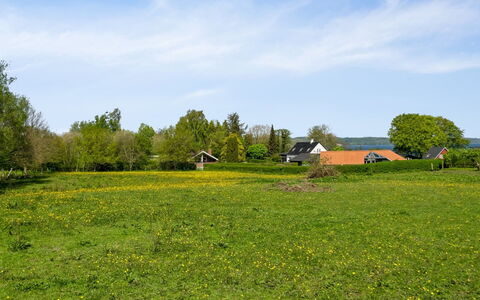 Sölvy - 300M from the Sea: Lucht, Groen, Gras, Boom, Grasland, Geel, Natuurlijk Landschap, Plain, Zomer
