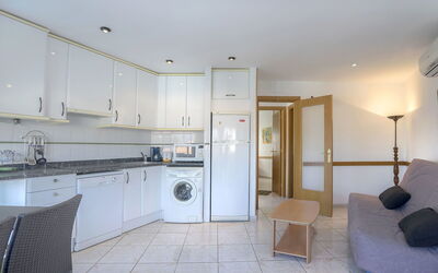 Accommodatie:&nbsp;Palmiers i 656.11