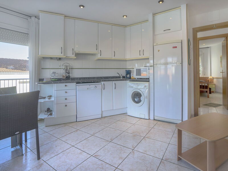 Accommodatie:&nbsp;Palmiers i 656.11