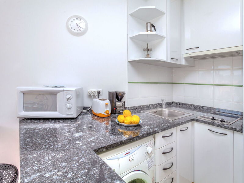 Accommodatie:&nbsp;Palmiers i 656.9