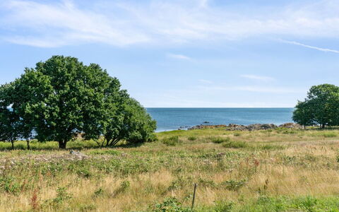 Leoni - 115M from the Sea: Hout, Dak, Architectuur, Huis, Huis, Verblijf, Siding, Hardwood, Helling, Landgoed