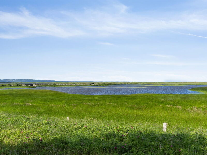 Felis - 575M from the Sea