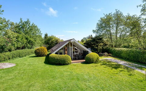 Tytti - 300M from the Sea: Vegetation, Struik, De Lente, Verblijf, Tuin, Schaduw, Backyard, Werf, Stoel