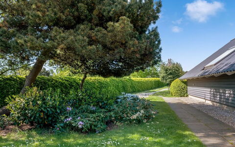 Tytti - 300M from the Sea: Vegetation, Struik, De Lente, Verblijf, Tuin, Schaduw, Backyard, Werf, Stoel