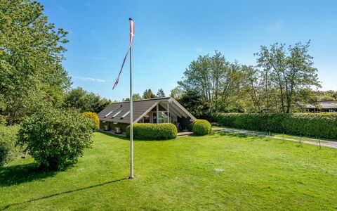 Tytti - 300M from the Sea: Vegetation, Struik, De Lente, Verblijf, Tuin, Schaduw, Backyard, Werf, Stoel