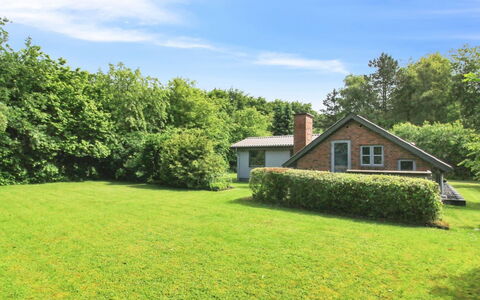 Ofrath - 30Km from the Sea: Gras, Groen, Boom, Grasland, Struik, Huis, Verblijf, Landschap, Tuin
