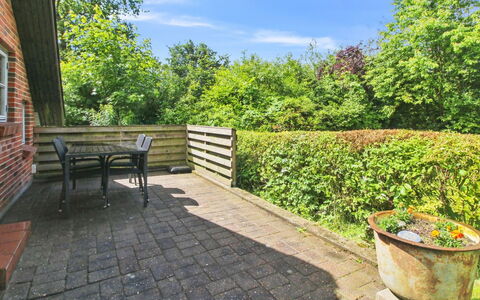 Ofrath - 30Km from the Sea: Struik, Tuin, Groundcover, Landscaping, Verblijf, Backyard, Gang, Werf, Schaduw
