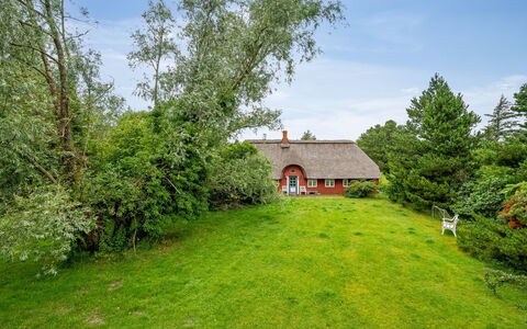 Wiss - 4.1Km from the Sea: Gras, Hout, Landelijk Gebied, Struik, Verblijf, Dak, Plain, Land Lot, Huis, Groundcover