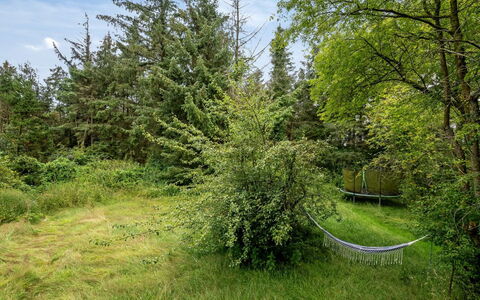 Wiss - 4.1Km from the Sea: Gras, Hout, Landelijk Gebied, Struik, Verblijf, Dak, Plain, Land Lot, Huis, Groundcover