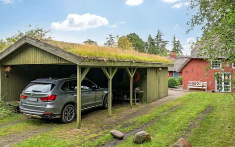 Wiss - 4.1Km from the Sea: Gras, Hout, Landelijk Gebied, Struik, Verblijf, Dak, Plain, Land Lot, Huis, Groundcover
