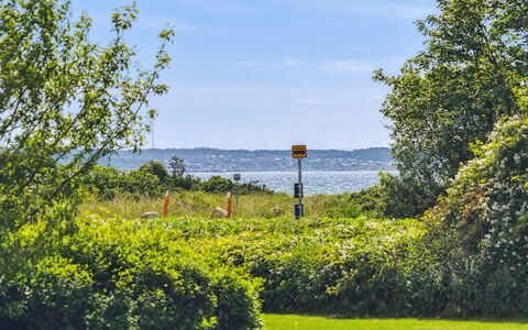 Hermund - 100M from the Sea: Lucht, Blauw, Groen, Natuur, Gras, Blad, Vegetation, Natuurlijk Landschap, Struik, Landschap