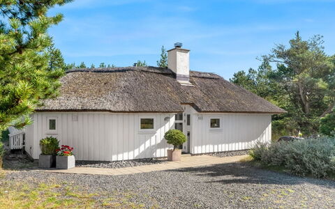 Pihla - 1.1Km from the Sea: Blauw, Struik, Verblijf, Groundcover, Tuin, Landgoed, Schaduw, Landscaping, Boerderij, Eco Hotel